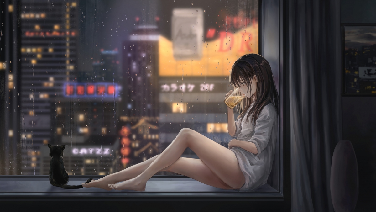 飘窗 城市夜景 雨天 猫 好看唯美动漫图片 女孩喝啤酒