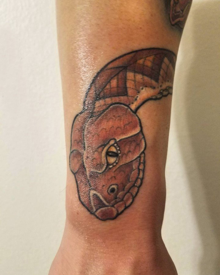 男生手臂上彩色的蛇头纹身图片 纹身蛇魔