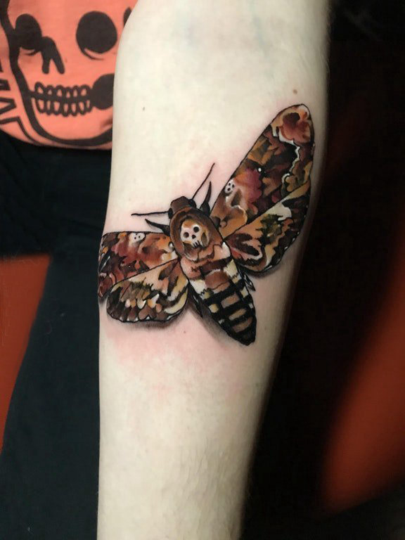 女生手臂上彩色的飞蛾纹身图片 百乐动物纹身