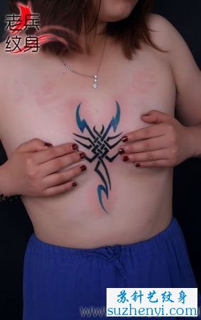 美女胸部彩色图腾蝎子纹身