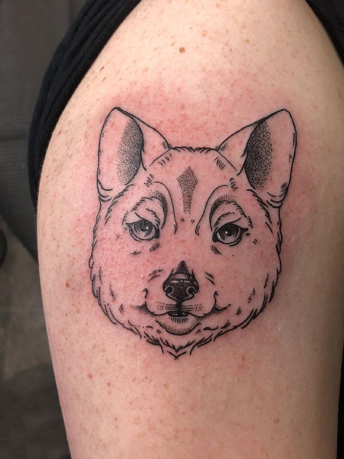 男生手臂上素描纹身百乐动物纹身图片 百乐动物纹身