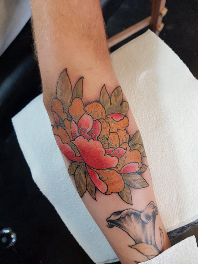 男生手臂上彩色的牡丹纹身图片 植物纹身