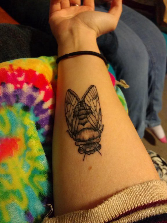 女生手臂上黑色的昆虫纹身图片 小动物纹身