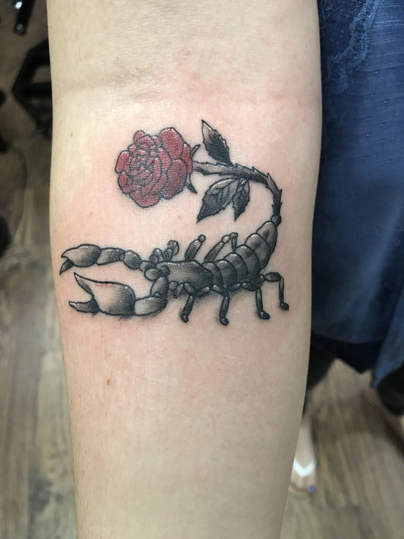 女生手臂上玫瑰和蝎子纹身图片 手臂纹身素材