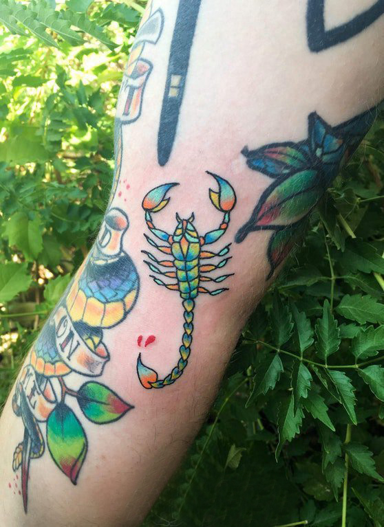 男生手臂上彩色的蝎子纹身图片 百乐动物纹身