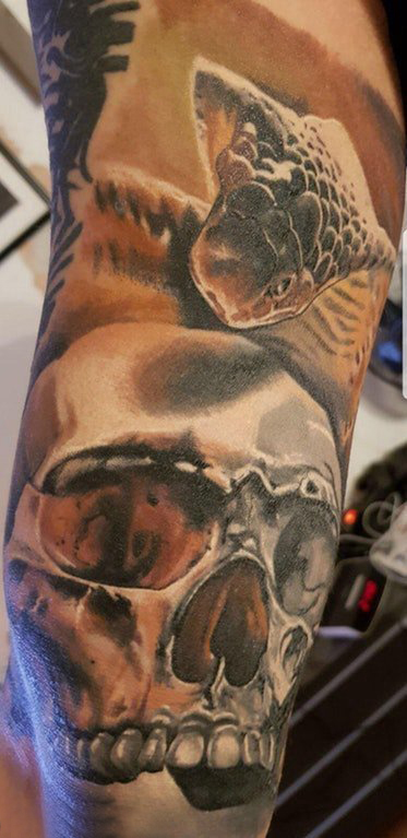 男生手臂上蛇和骷髅纹身图片 手臂纹身素材