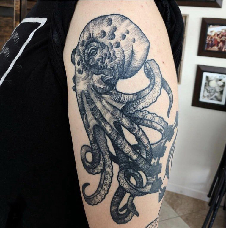 男生手臂上黑色的章鱼纹身图片 小动物纹身图案