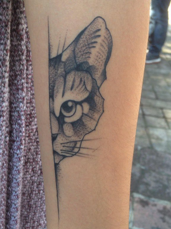 女生手臂上素描的猫咪纹身图片 百乐动物纹身