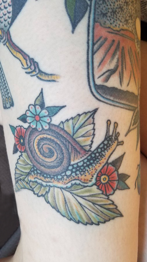 男生手臂上叶子和蜗牛纹身图片 百乐动物纹身
