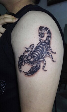 手臂上逼真的蝎子纹身
