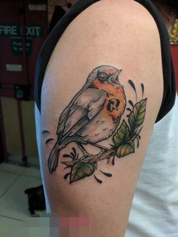男生手臂上彩绘技巧植物元素小动物鸟纹身图片