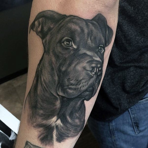 手臂可爱的手黑白狗头像纹身图案