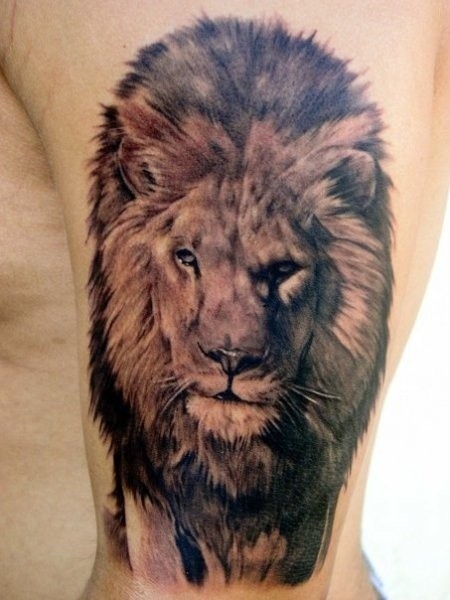 手臂上奇妙写实的狮子纹身图案