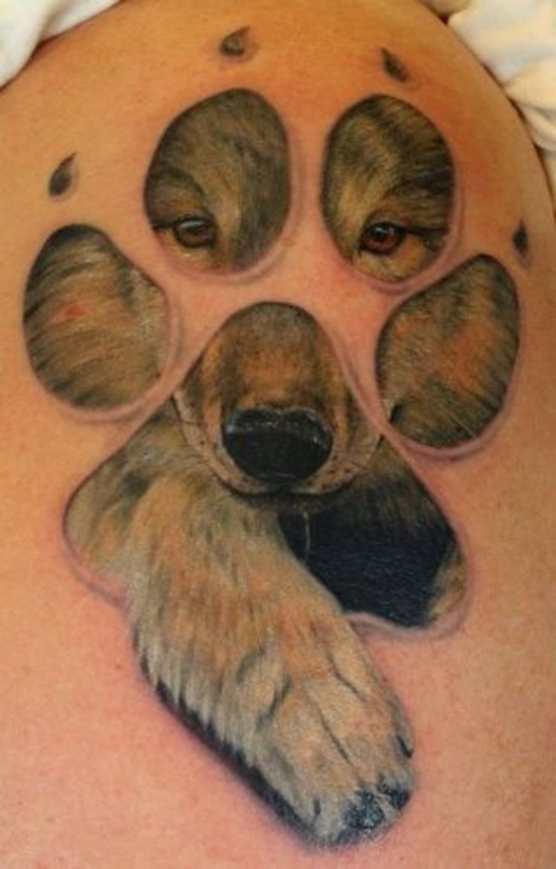 手臂可爱的动物爪印和小狼纹身图案