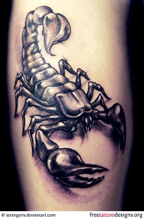 男士手臂霸气的蝎子纹身图案