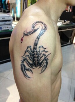 胳膊上逼真的蝎子纹身