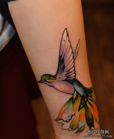 3Ktu分享一款女生手臂彩色燕子文身图案