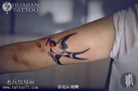 手臂彩色个性燕子纹身图案