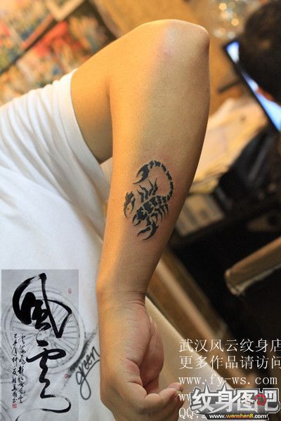 手臂上的图腾小蝎子纹身图