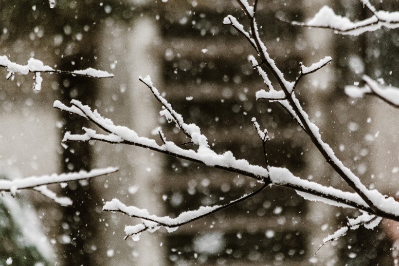 冬季的雪景图(11张高清图片)