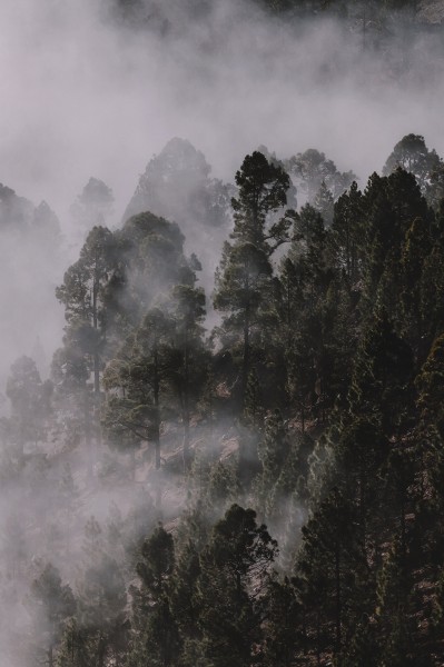 雾天的山林图(11张高清图片)